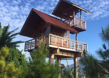 Green living Cara Hidup Sehat Mengatasi Stres