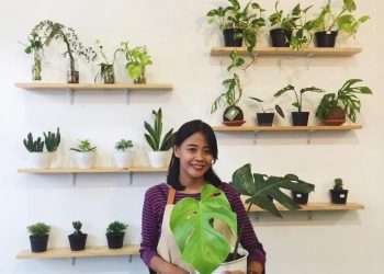 Dampak Positif Tanaman Hias Ditengah Kebosanan WFH