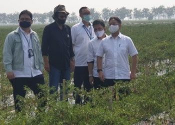 Wakil Menteri BUMN I Kunjungi Pilot Project Food Estate Sukamandi