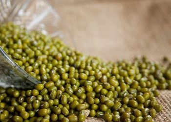 Viral Penjual Bubur Kacang Hijau yang Bisa Berbahasa Jepang