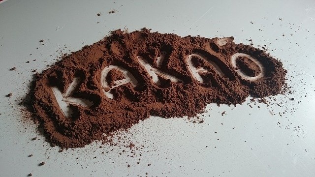 Bisnis Pengolahan Kakao Menjadi Cokelat Bubuk yang Menjanjikan Cuan 