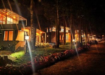 Taman Safari Bogor Meriahkan Malam Pergantian Tahun dengan Tema Circus Street Carnival