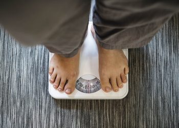 Konsultan Diet