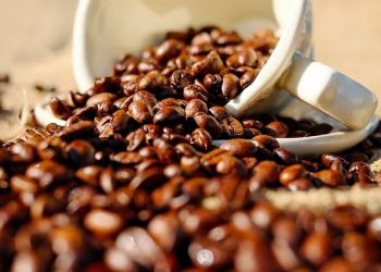 bisnis kopi