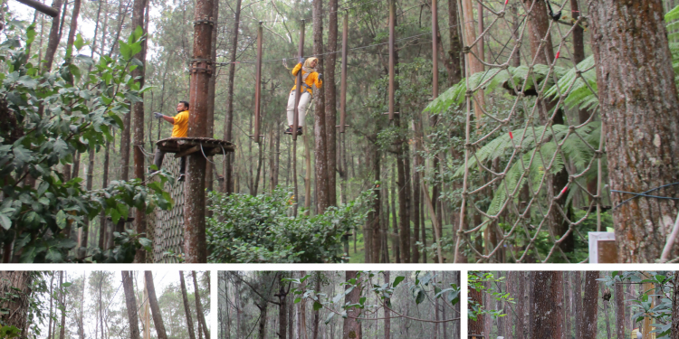 Mengintip Serunya Wisata Pemacu Adrenalin di Kopeng Treetop Adventure Park