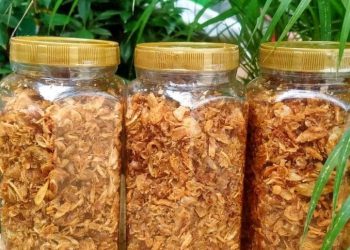 7 Bawang Goreng Kemasan Terbaik 2021