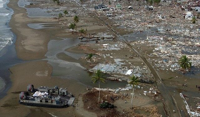 Jawa Timur Potensi Tsunami 30 Meter, Berikut Daerah Rawan Bencana 1 Jawa Timur potensi tsunami