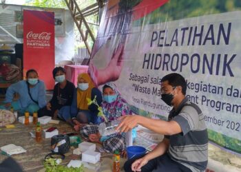 Pelatihan Hidroponik Coke Forest: Inisiatif Murah Meriah untuk Memulai Hidup Sehat 1 Pelatihan Hidroponik