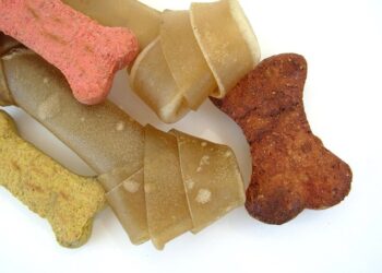 snack anjing terbaik