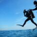 Bisnis Kursus Diving, Begini Cara Memulainya agar Sukses 12 kursus diving