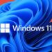 Windows 11