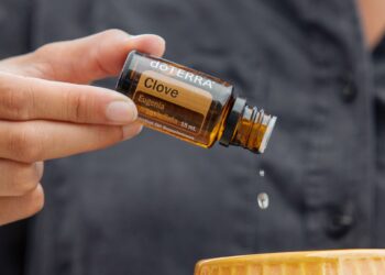 minyak cengkeh terbaik