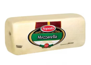 9 Rekomendasi Keju Mozzarella Terbaik 2022