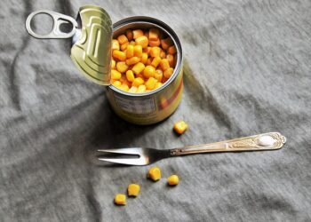 bisnis makanan kaleng