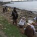 Peduli Biota Laut, Mahasiswa Udinus Bersih - Bersih Pantai Marina 12 Peduli Biota Laut, Mahasiswa Udinus Bersih – Bersih Pantai Marina