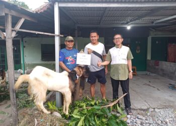 Sambut Idul Adha 1445 H Kotta Hotel Serahkan Hewan Qurban Ke Mushola Al-Hikmah CPM Kotalama