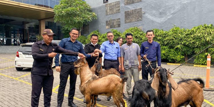 Gets Premiere Semarang Serahkan Kambing Kurban Ke Masjid At Taqwa Kulitan Semarang 1 Gets Premiere Semarang Serahkan Kambing Kurban Ke Masjid At Taqwa Kulitan Semarang