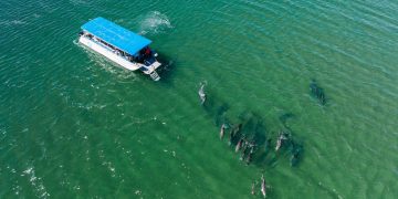 Lima Pengalaman Luar Biasa di South West Australia, dari Menyaksikan Lumba-Lumba hingga Berburu Truffle