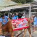 Kokola Group bersama Mamah Dedeh Salurkan Qurban Sapi Limosin di Ciamis