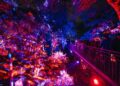 Lightscape Perth 2026 Sulap Kings Park Menjadi Destinasi Musim Dingin Penuh Cahaya dan Keajaiban 2 Lightscape Perth 2026 Sulap Kings Park Menjadi Destinasi Musim Dingin Penuh Cahaya dan Keajaiban