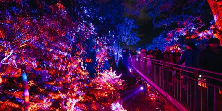 Lightscape Perth 2026 Sulap Kings Park Menjadi Destinasi Musim Dingin Penuh Cahaya dan Keajaiban