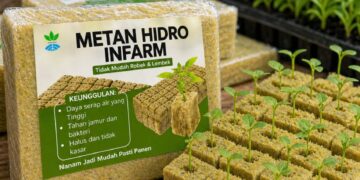 Berkebun, Memanen, dan Mengompos dari Rumah untuk Hidup yang Lebih Berkelanjutan 