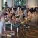 Nusatu by ARTOTEL dan Candi Golf Kolaborasikan Yoga Experience Lewat “Rooted in Wellness”